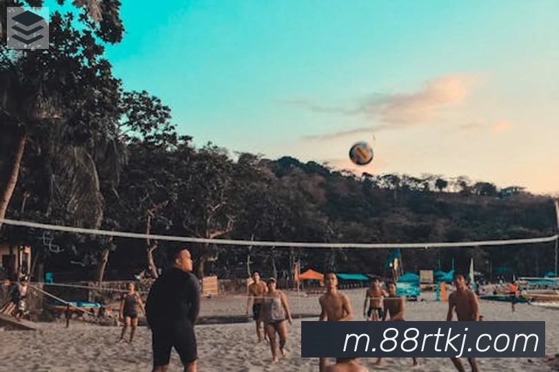 App Interface Preview