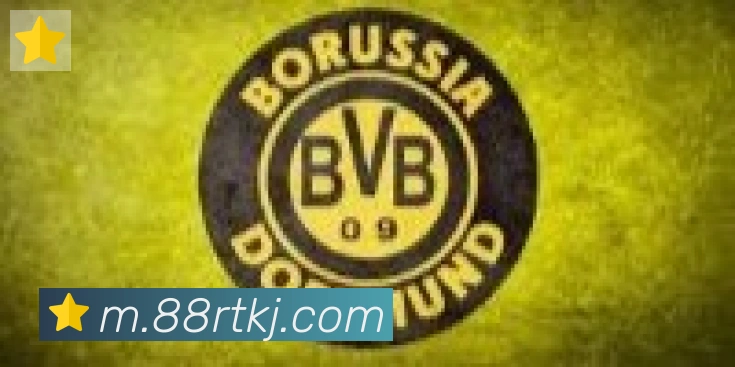 华体app登录入口合作伙伴