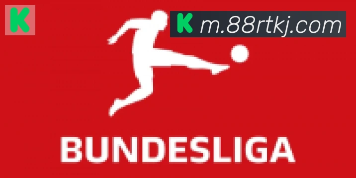 华体app登录入口合作伙伴